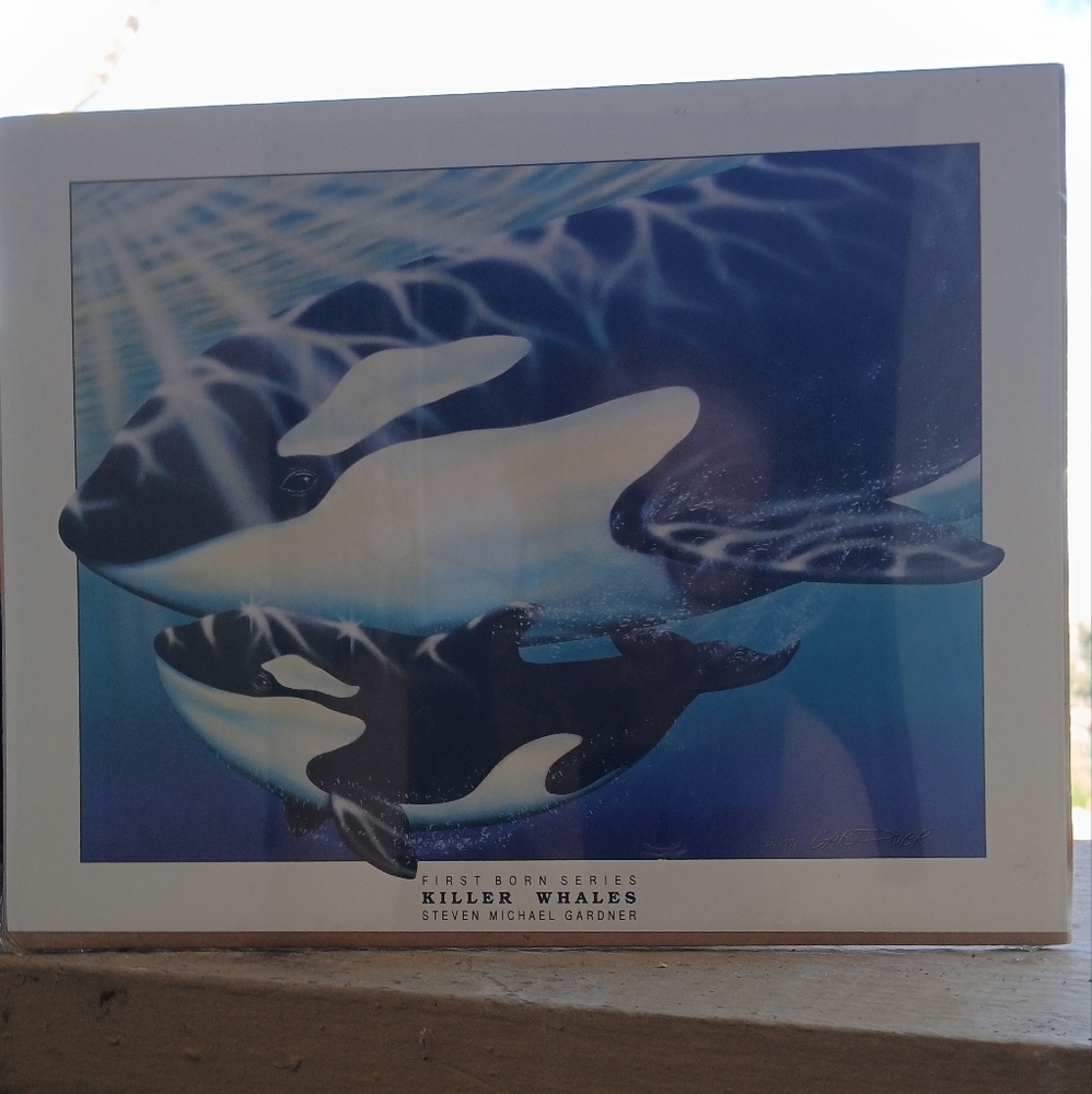 First Born Series Killer Whales Art Print
